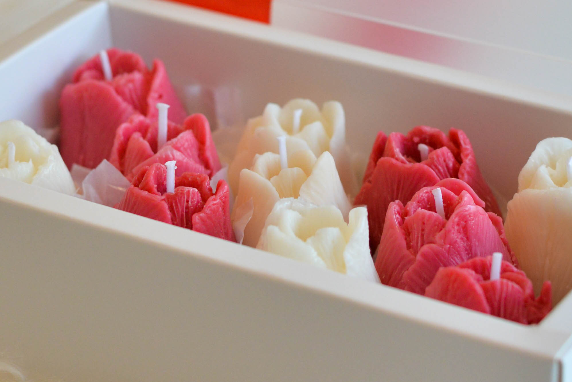 Cutia Tulip Bliss - imagine 3